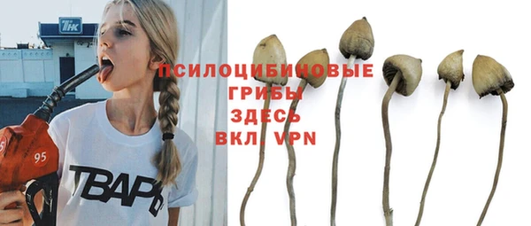 гашиш Ладушкин
