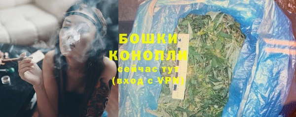 СК Бородино