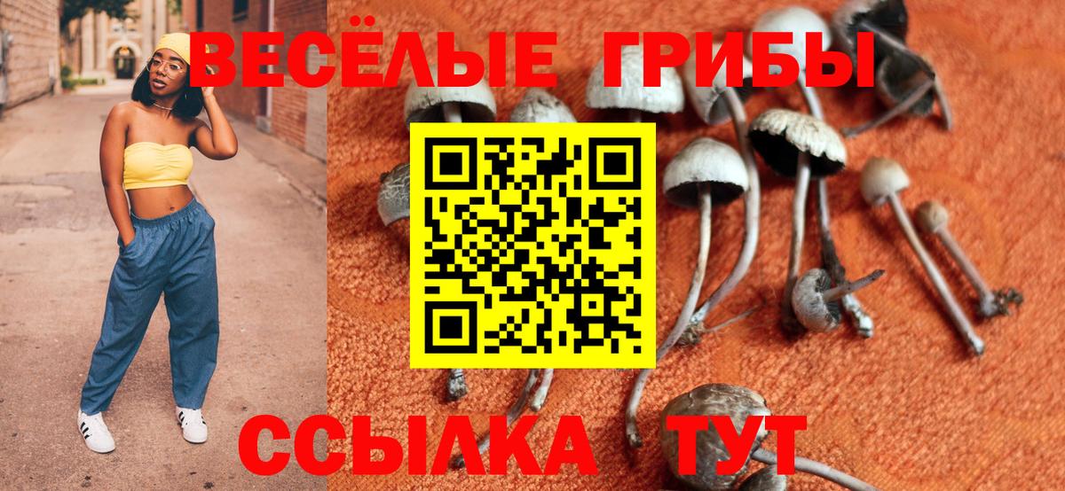 Псилоцибиновые грибы прущие грибы Нижний Новгород