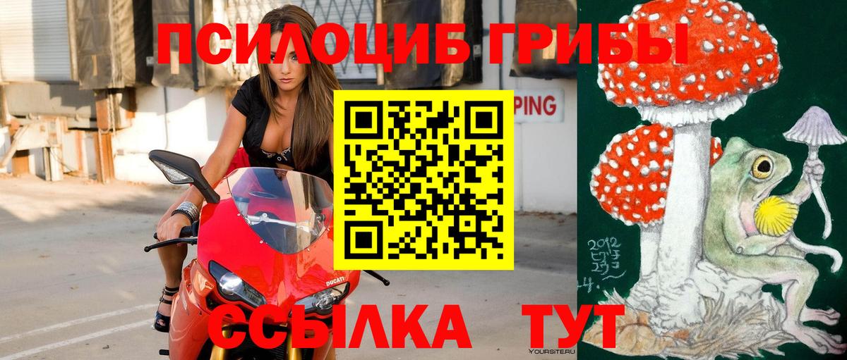 Псилоцибиновые грибы ЛСД  Нижний Новгород  Галлюциногенные грибы Psilocybine cubensis 