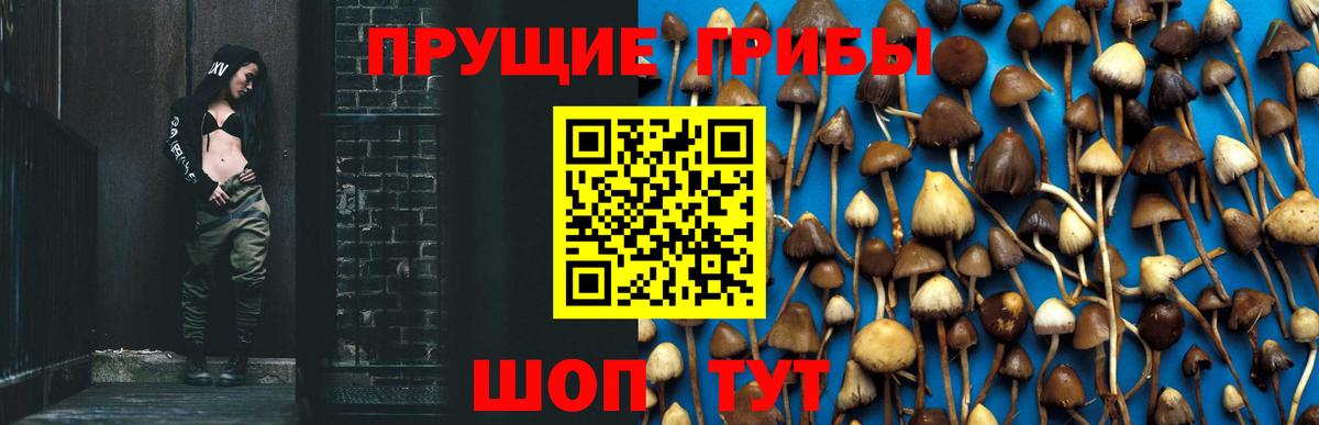 Псилоцибиновые грибы прущие грибы  Вход с VPN  Нижний Новгород 